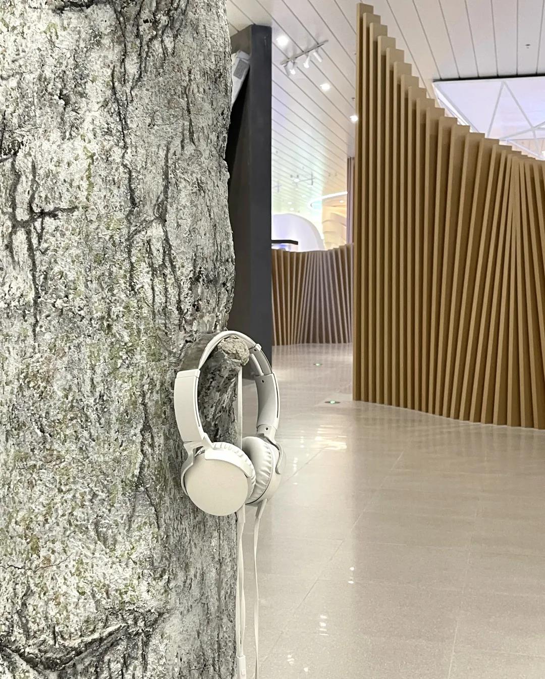 巖星特刊 | “疫苗博物館”，透過歷史切片見證偉大事業插圖(6)